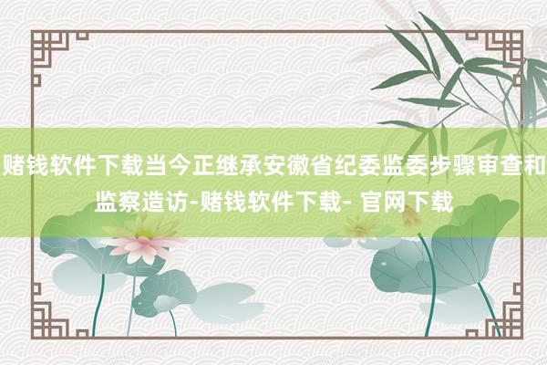 赌钱软件下载当今正继承安徽省纪委监委步骤审查和监察造访-赌钱软件下载- 官网下载