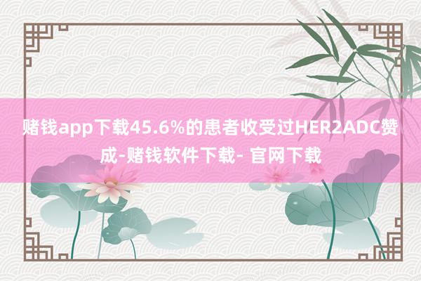 赌钱app下载45.6%的患者收受过HER2ADC赞成-赌钱软件下载- 官网下载