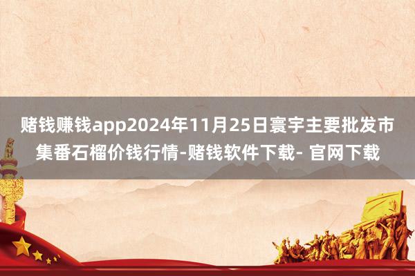 赌钱赚钱app2024年11月25日寰宇主要批发市集番石榴价钱行情-赌钱软件下载- 官网下载